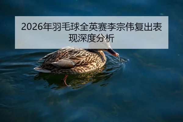 nian-yu-mao-qiu-quan-ying-sai-li-zong-wei-fu-chu-biao-xian-shen-du-fen-xi-2-221.jpg