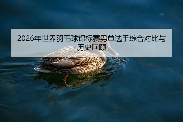 nian-shi-jie-yu-mao-qiu-jin-biao-sai-nan-dan-xuan-shou-zong-he-dui-bi-yu-li-shi-hui-gu-2-904.jpg