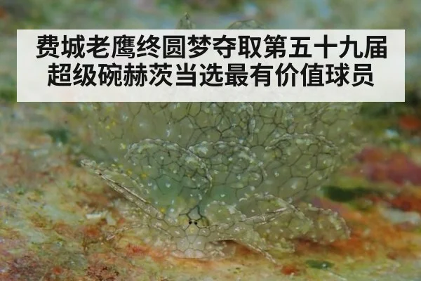 费城老鹰终圆梦夺取第五十九届超级碗赫茨当选最有价值球员